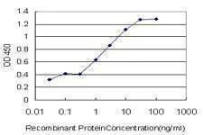 Anti-BMP2K Antibody
