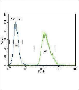 Anti-CMGA (C-term) Antibody