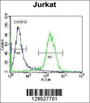 Anti-NOD1 (C-term) Antibody