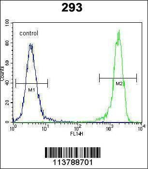 Anti-DDIT3 (C-term A135) Antibody