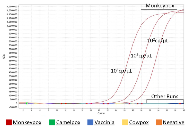 Monkeypox Virus (MPXV) PCR Nucleic Acid Detection Kit