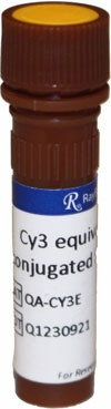Quantibody Cy3 equivalent dye-conjugated Streptavidin