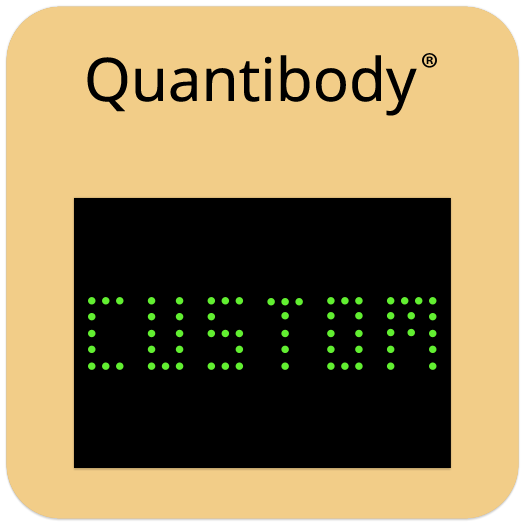 Custom Quantibody® Mouse Array