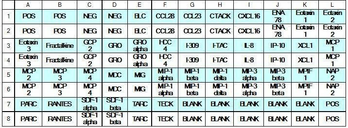 Human Chemokine Array C1