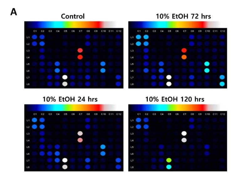 Figure adapted from Kim et al., Journal of Biological Engineering, 2024.