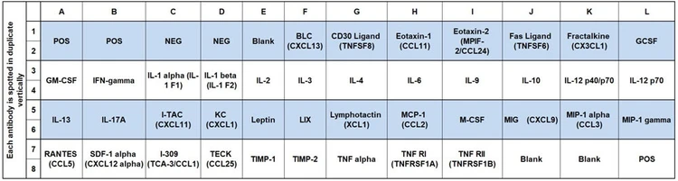 Mouse Inflammation Array C1