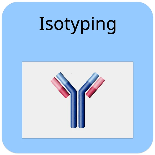Rapid Mouse Ig Isotyping Array 1