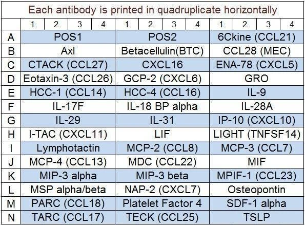 Human Chemokine Array Q1