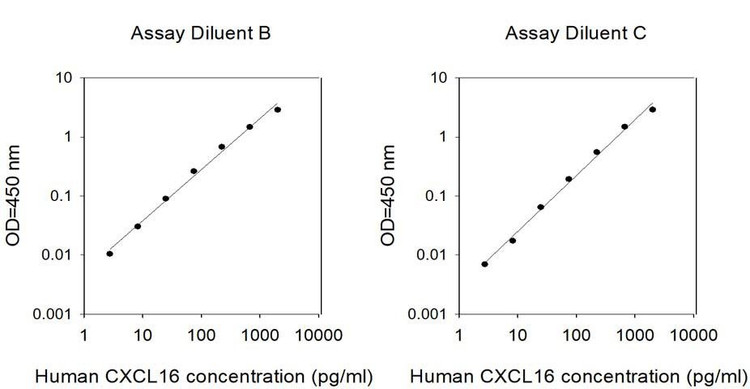Human CXCL16 ELISA Kit