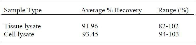 Human FGF-4 ELISA Kit
