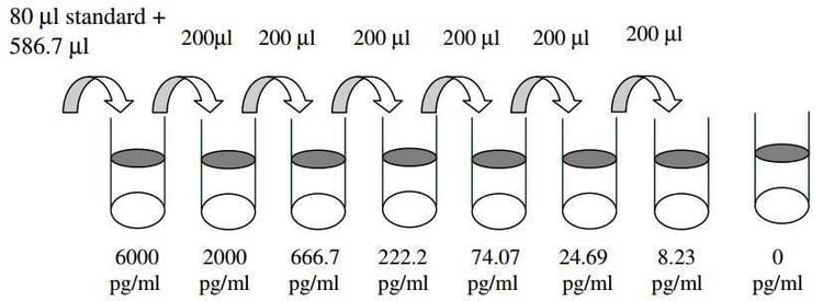 Human MMP-13 ELISA Kit