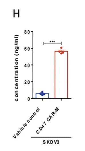 ELH-TNFa was used to measure TNF-α secretion in culture supernatants from cytotoxic T lymphocytes activated by CD47 CAR-macrophages in a SKOV3 ovarian cancer model. Figure adapted from Chen et al., Journal of Translational Medicine, 2023.
