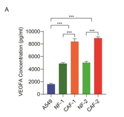 ELH-VEGF was used to measure VEGFA in cell culture supernatants from A549 cells, normal fibroblasts (NFs), and cancer-associated fibroblasts (CAFs). Figure adapted from Chen et al., International Journal of Biological Sciences, 2023.