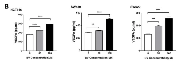 ELH-VEGF was used to measure VEGFA in colorectal cancer cell culture supernatants following biliverdin treatment. Figure adapted from Zhang et al., Journal of Translational Medicine, 2023.