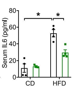 ELM-IL6 was used to measure serum IL-6 in high-fat diet–fed mice with adipocyte-specific TRPM7 deletion. Figure adapted from Zhong et al., Nature Communications, 2023.