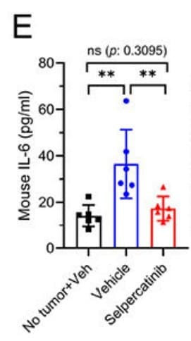 ELM-IL6 was used to measure plasma IL-6 in HT1080 tumor-bearing mice treated with selpercatinib. Figure adapted from Khatri et al., Cancer Letters, 2025.