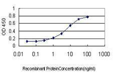 Anti-BVES Antibody
