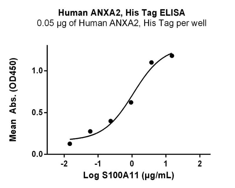 Recombinant Human S100-A11 Protein