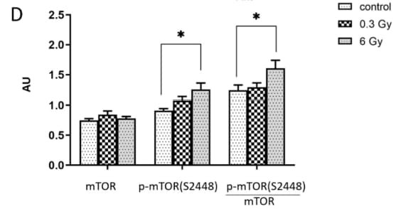 RayBio® Phospho-mTOR (Ser2448) and Total mTOR ELISA Kits assessed increased mTOR phosphorylation in irradiated mouse hearts, indicating activation of the mTOR signaling pathway. Figure adapted from Azimzadeh et al., Cancers, 2023.