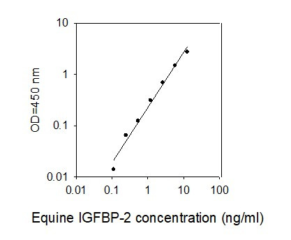 Equine IGFBP-2 ELISA Kit