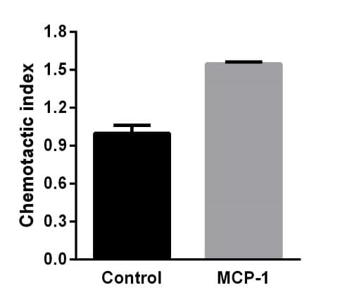 Recombinant Human MCP-1 Protein, Antigen Grade
