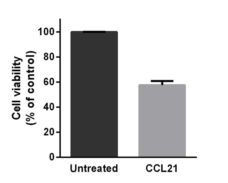 Recombinant Human CCL21 Protein