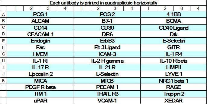 Human Receptor Array GS1