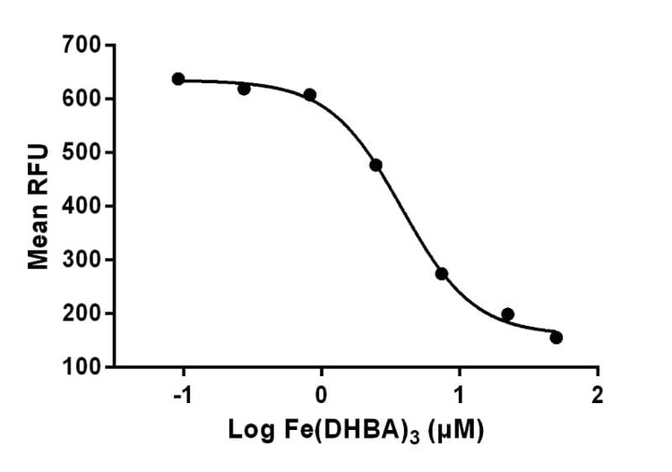 Recombinant Human Lipocalin 2 (NGAL) Protein