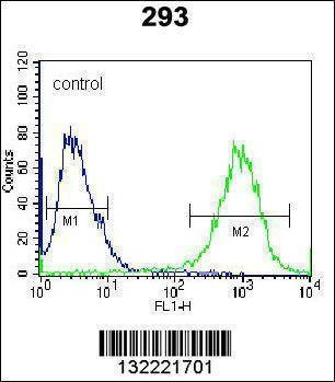 Anti-STX16 (C-term) Antibody