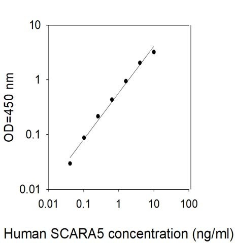 Human SCARA5 ELISA Kit