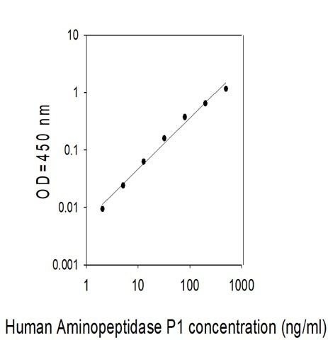 Human Aminopeptidase P1/XPNPEP1 ELISA Kit