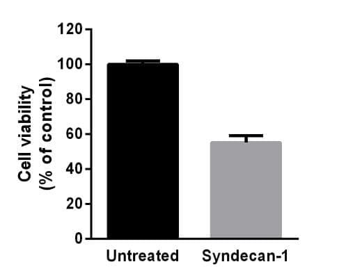 Recombinant Human Syndecan-1 Protein