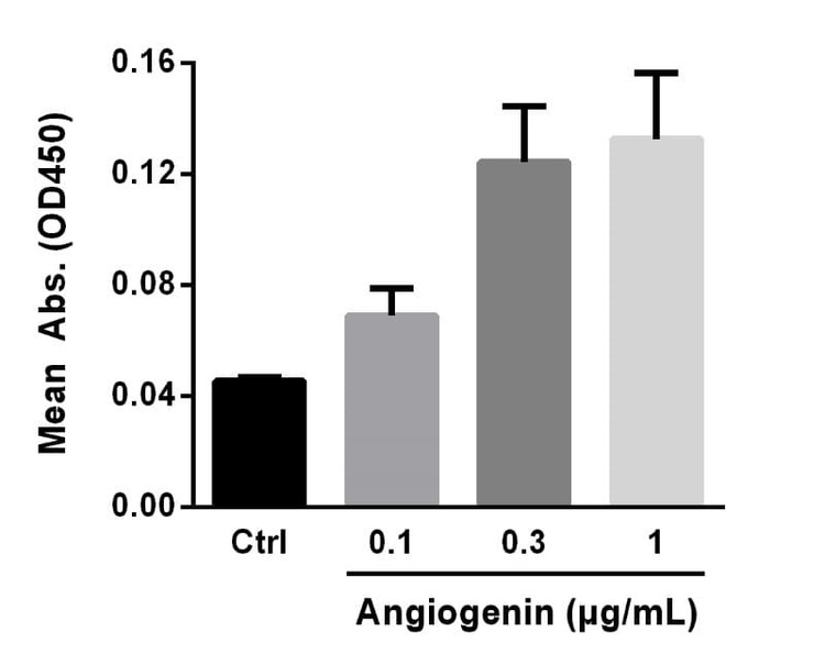 Recombinant Mouse Angiogenin Protein