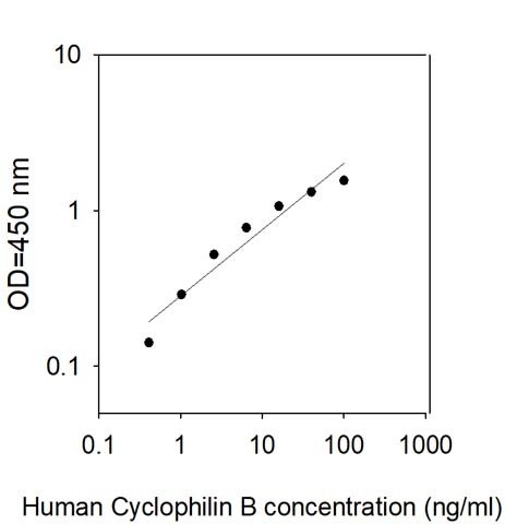 Human Cyclophilin B/SCYLP ELISA Kit