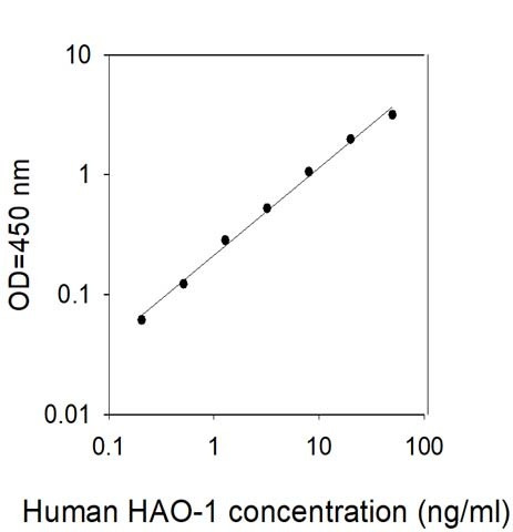 Human Hydroxyacid oxidase 1 (HAO1 ELISA Kit