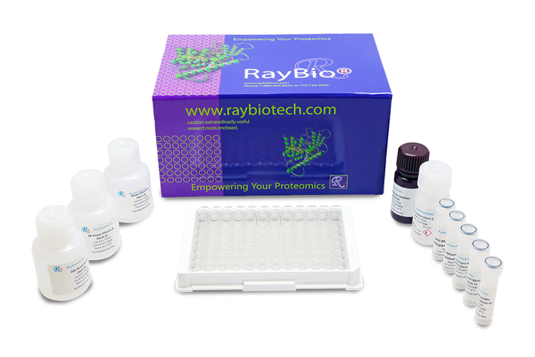 Human Siglec-6 ELISA Kit