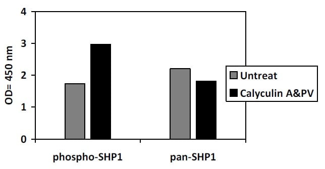 Phospho-SHP1 (S591) ELISA Kit