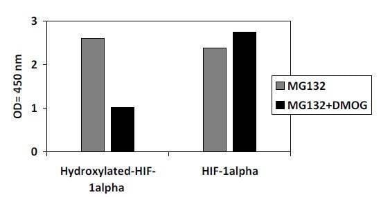Human Hydroxylated-HIF-1alpha (P402) ELISA Kit