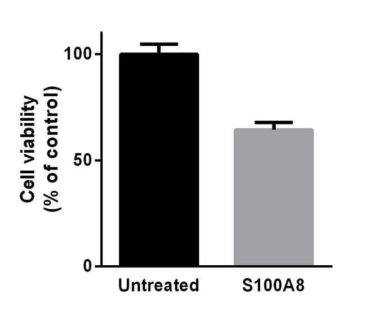 Recombinant Human S100-A8 Protein