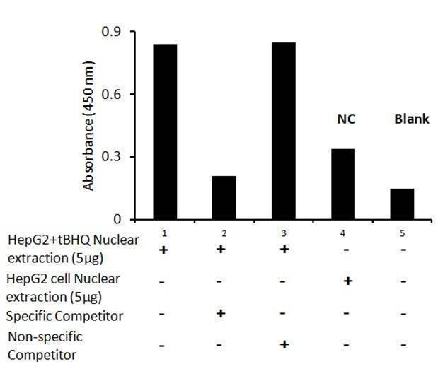 Human NRF2 Activity Assay Kit
