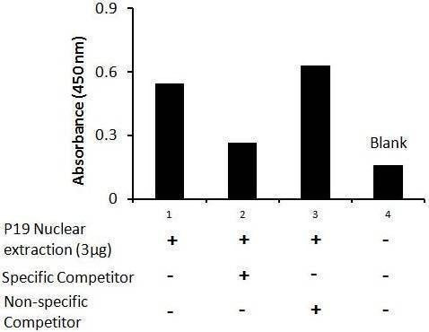 Human SOX2 Activity Assay Kit