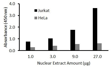 Human NF-YA Activity Assay Kit