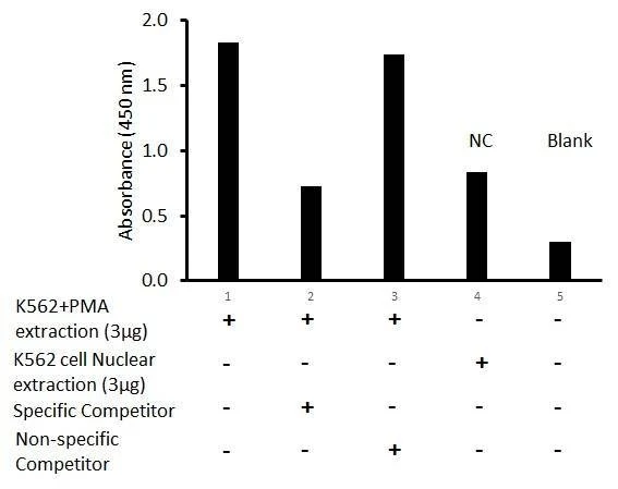 Human jun-D Activity Assay Kit