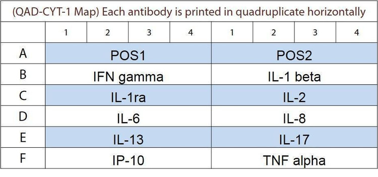 Dolphin Cytokine Array Q1