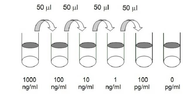 Dynorphin A ELISA Kit