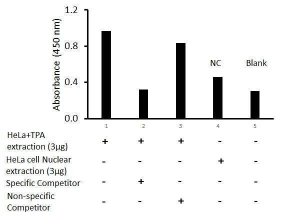 Human FRA-2 Activity Assay Kit
