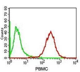 Anti-Adipophilin Antibody