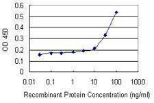 Anti-C20orf79 Antibody