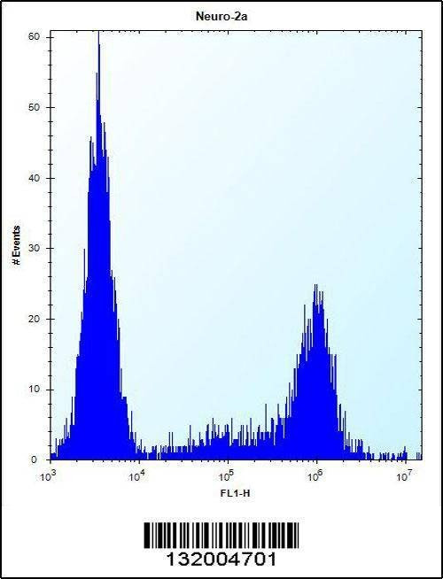 Anti-KLC2 (N-term) Antibody