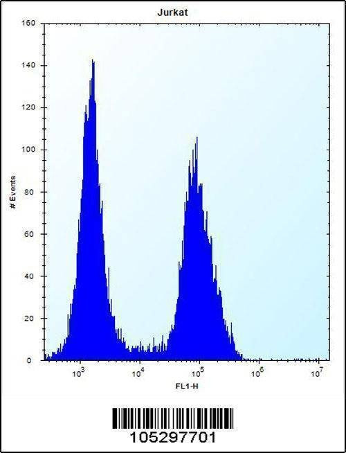 Anti-PRSS7 (C-term E979) Antibody